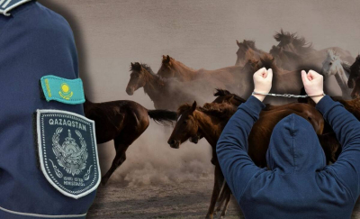 МВД ликвидировало канал контрабанды скота