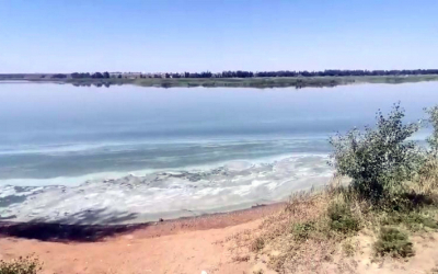 Народный репортёр. Актюбинское водохранилище зацвело