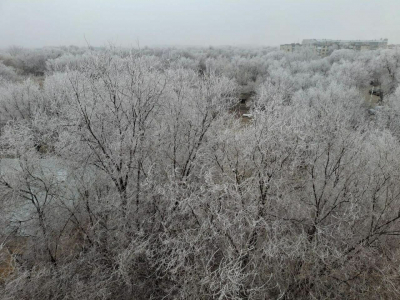 Зелень за зелень