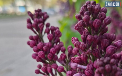 Погода в Актобе на 30 апреля - 2 мая