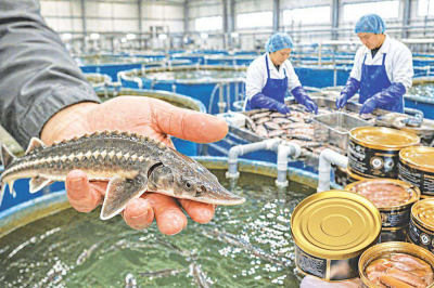 Отрасль требует системных мер